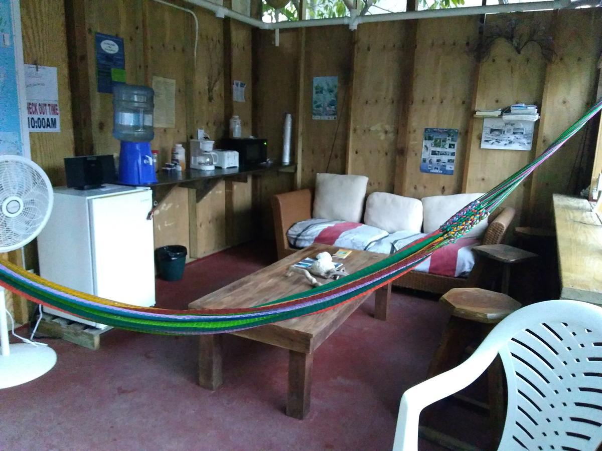 Placencia Hostel Exteriér fotografie